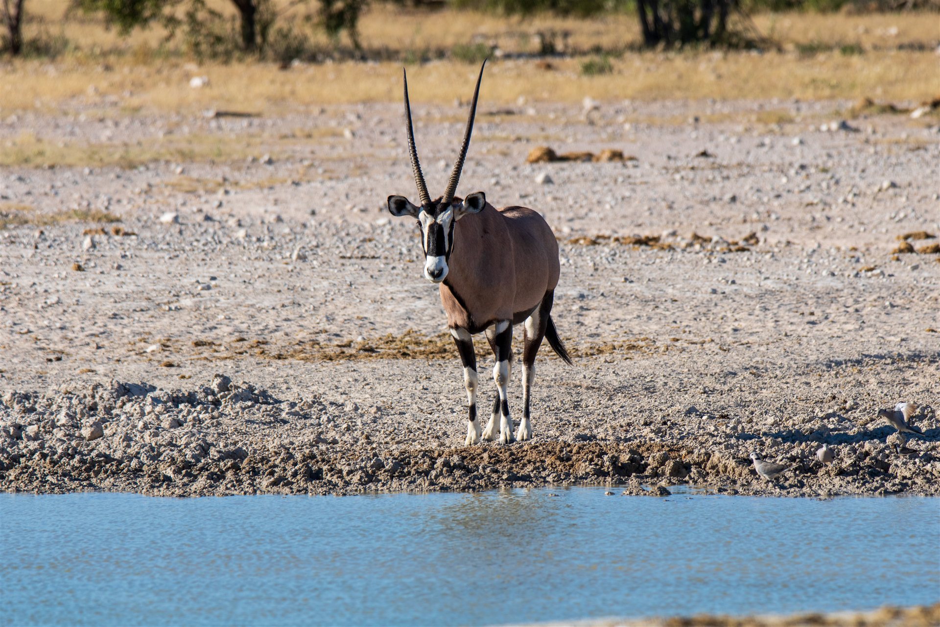 Namibia – Wüste